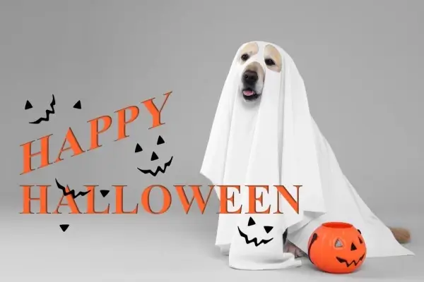 Happy Halloween from Country Club Home Loans Inc